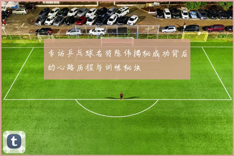 专访乒乓球名将陈伟揭秘成功背后的心路历程与训练秘诀